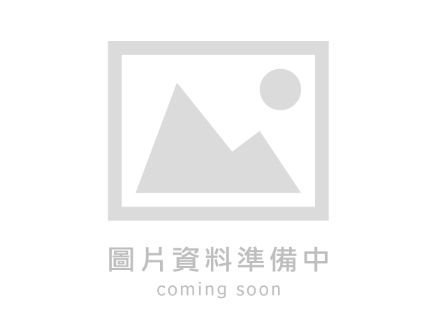 天花板循環扇